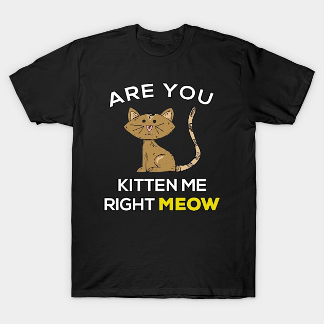 Are you kitten me right meow? T-Shirt by Gorilla Designz